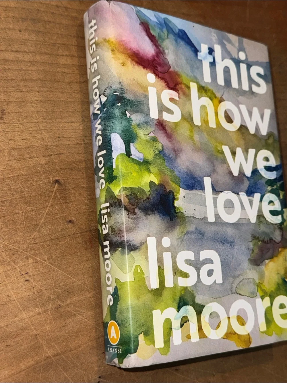 This Is How We Love - Lisa Moore hardcover Book - Picture 11 of 13